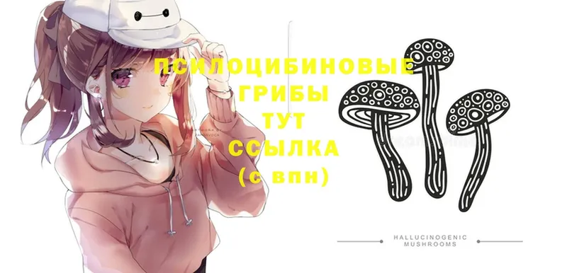 Псилоцибиновые грибы Psilocybine cubensis  ОМГ ОМГ зеркало  Алупка  как найти наркотики 